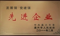 黄冈视装双强”先进企业