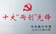 黄冈市十大两创前锋